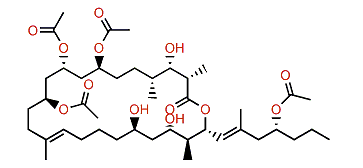 Dolabelide C